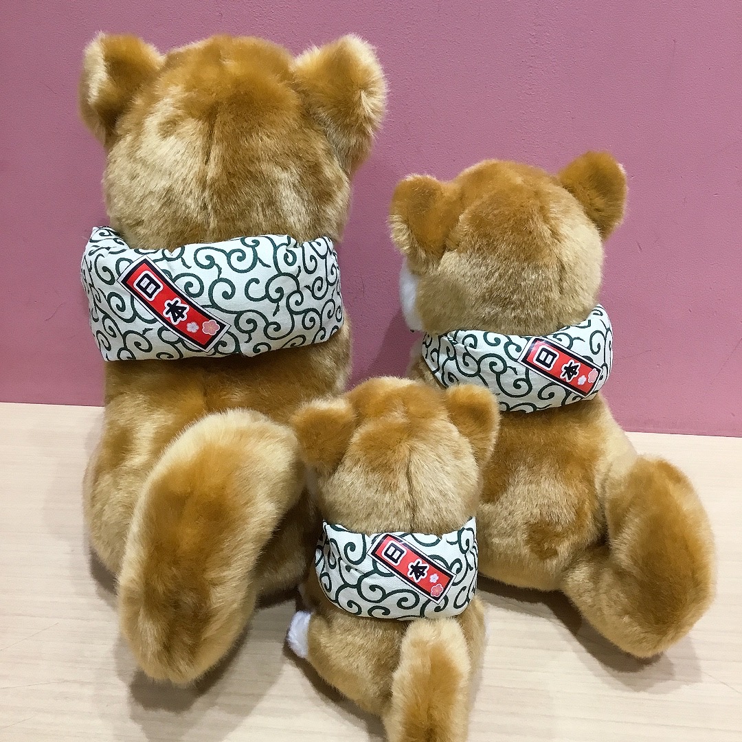 可愛いまめしばぬいぐるみ入荷しました✨｜ランデヴー｜ショップ