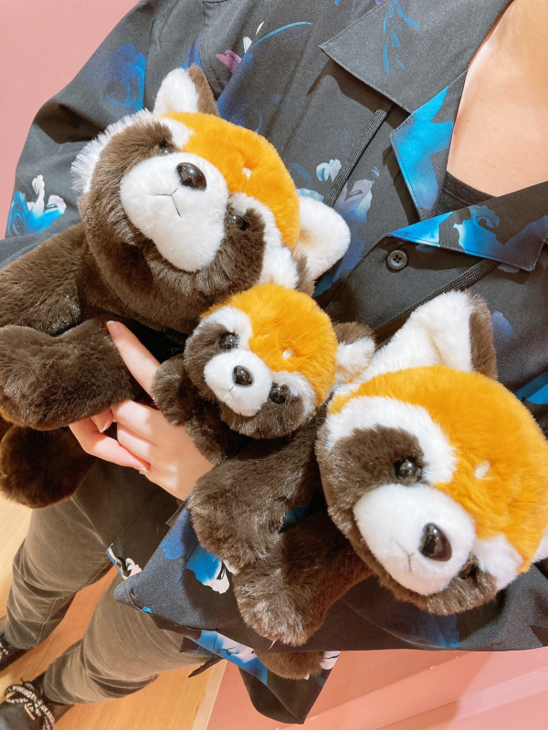 くたくたぬいぐるみ ランデヴー ショップニュース トリエ京王調布 京王線調布駅よりすぐのショッピングセンター くたくたぬいぐるみ ランデヴー ショップニュース トリエ京王調布 京王線調布駅よりすぐのショッピングセンター